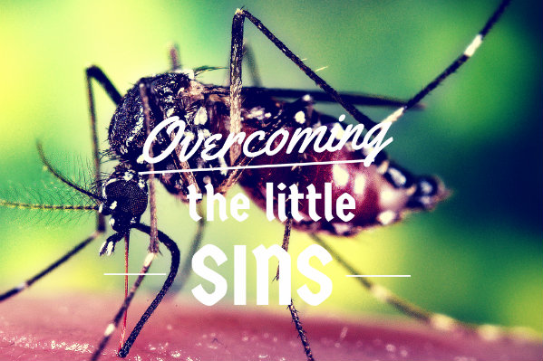 the-little-sins1